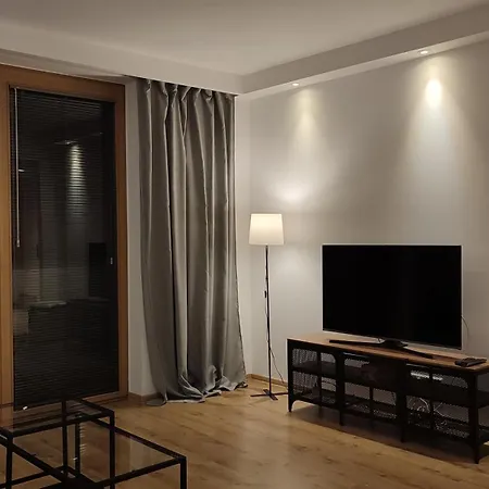 Apartament Art Zwierzyniecka *